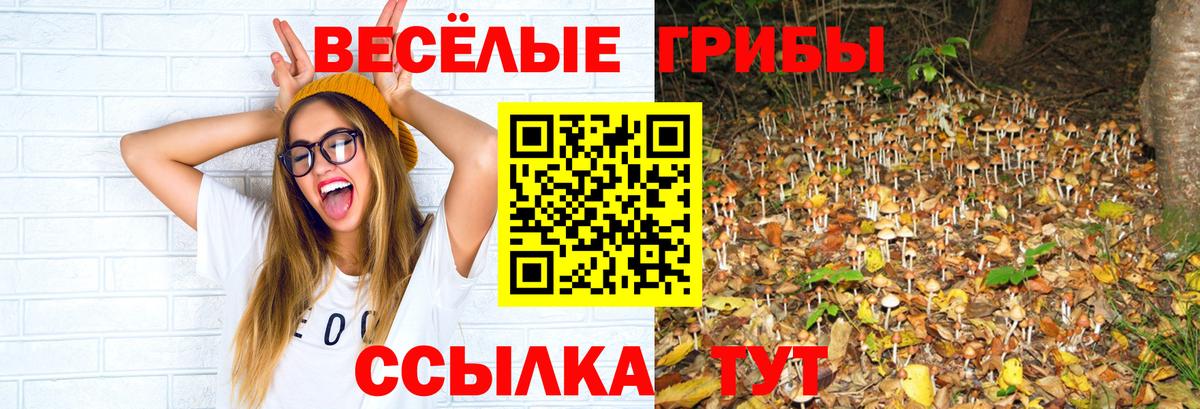 Галлюциногенные грибы MAGIC MUSHROOMS  Псилоцибиновые грибы прущие грибы  Вход с VPN  Дзержинский 